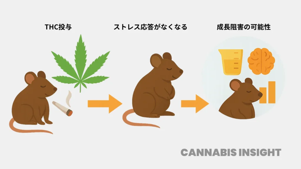 大麻カルチャーとチル