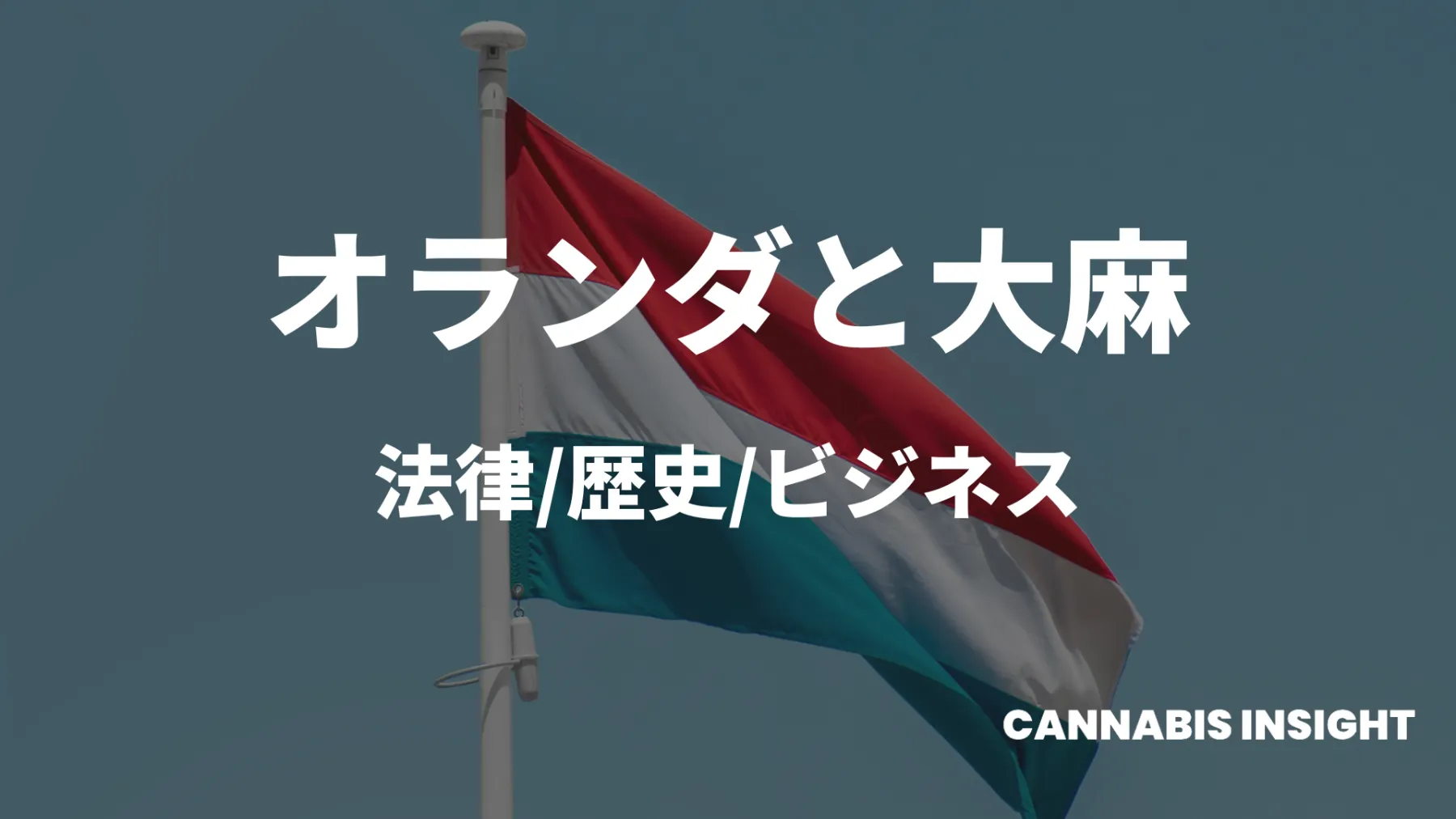 オランダの大麻情報をまとめた記事のサムネイル