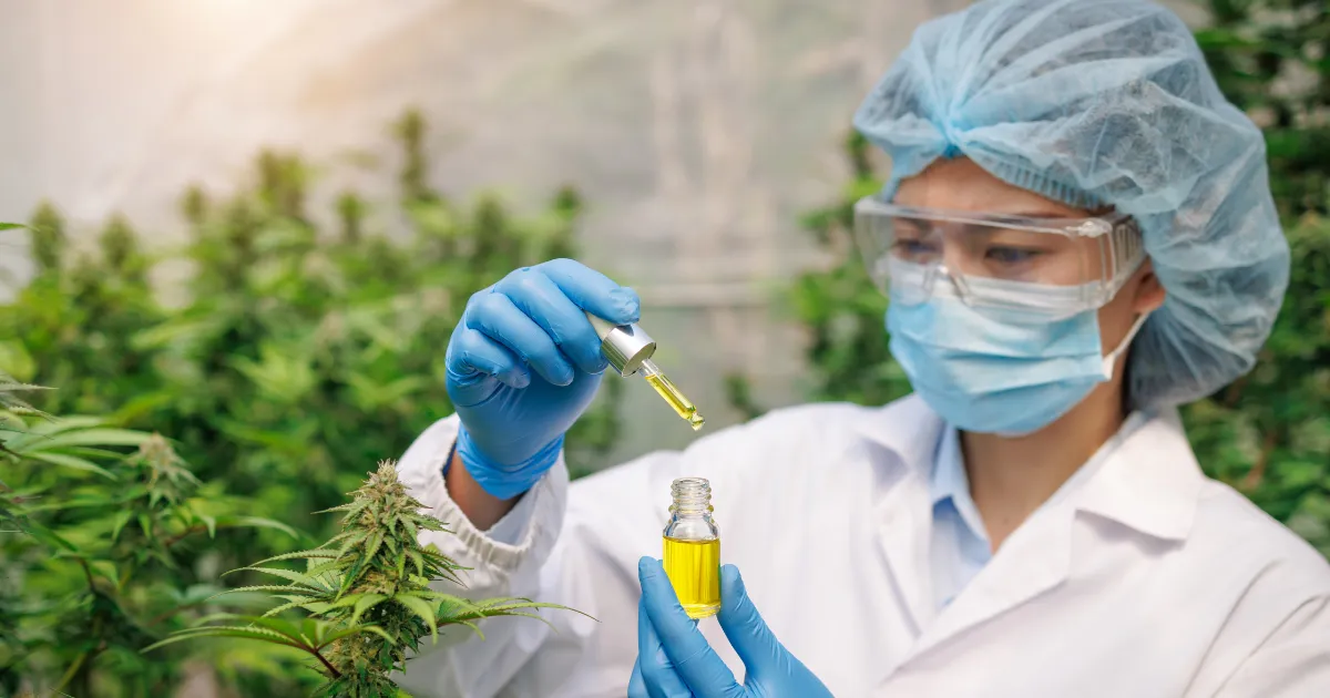 ci_news_cannabiscompany