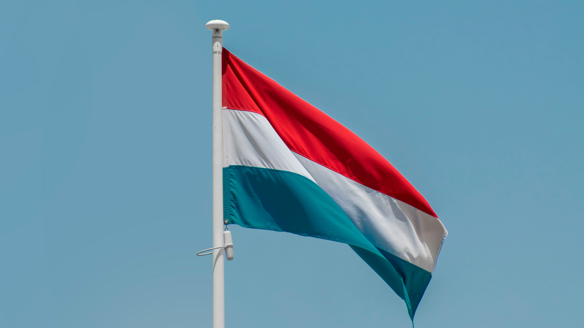 CI_サムネ_ハンガリー