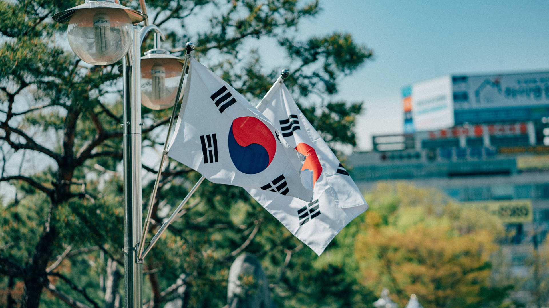 CI_サムネ_korea