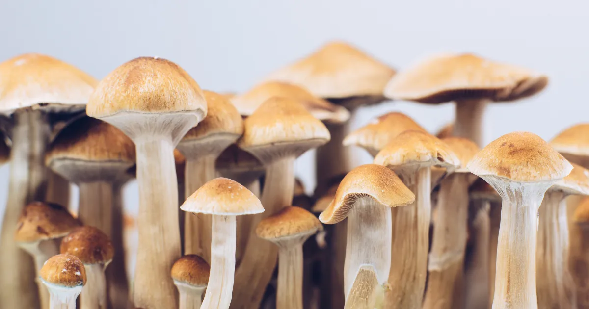 psychedelics-cellular-antiaging-study