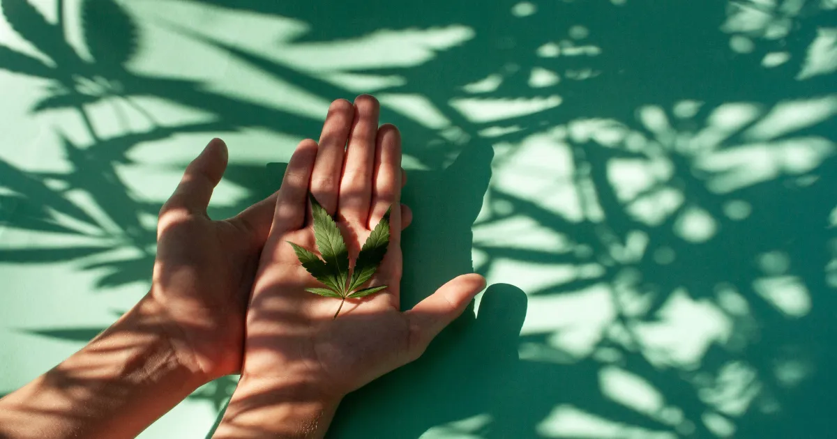 us-legalization-youth-use-data