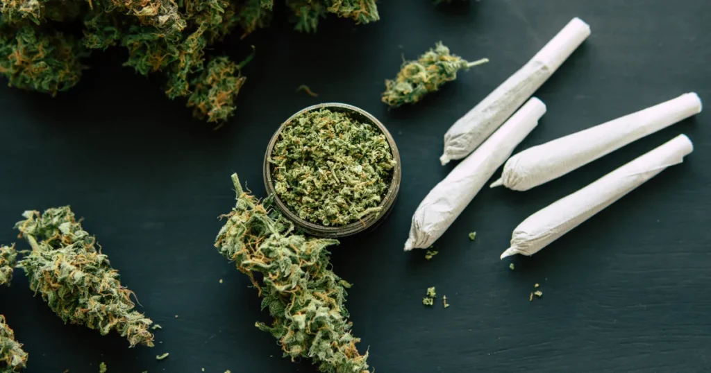 cannabis-stocks-surge-after-trump-cbd-comment