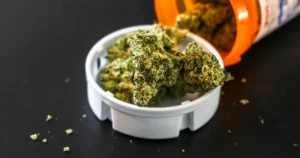 us-cannabis-green-wednesday