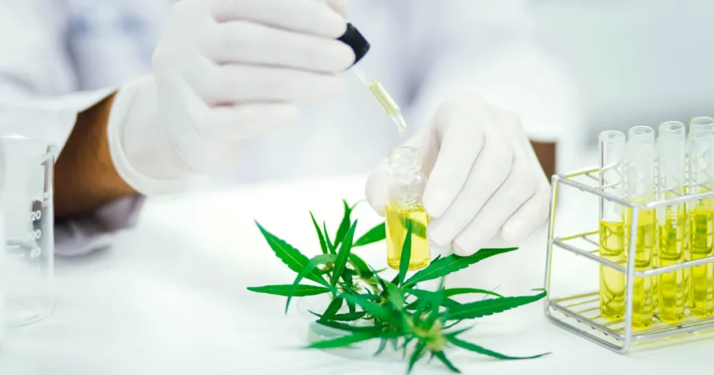 hirata-prime-cbd-thc