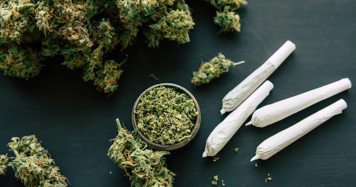 canada-medical-cannabis-export-germany-298