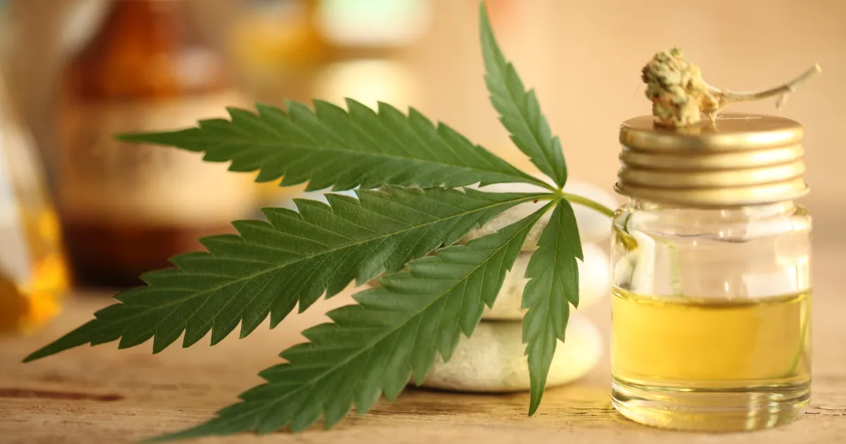 cannabis-culinary-collaboration